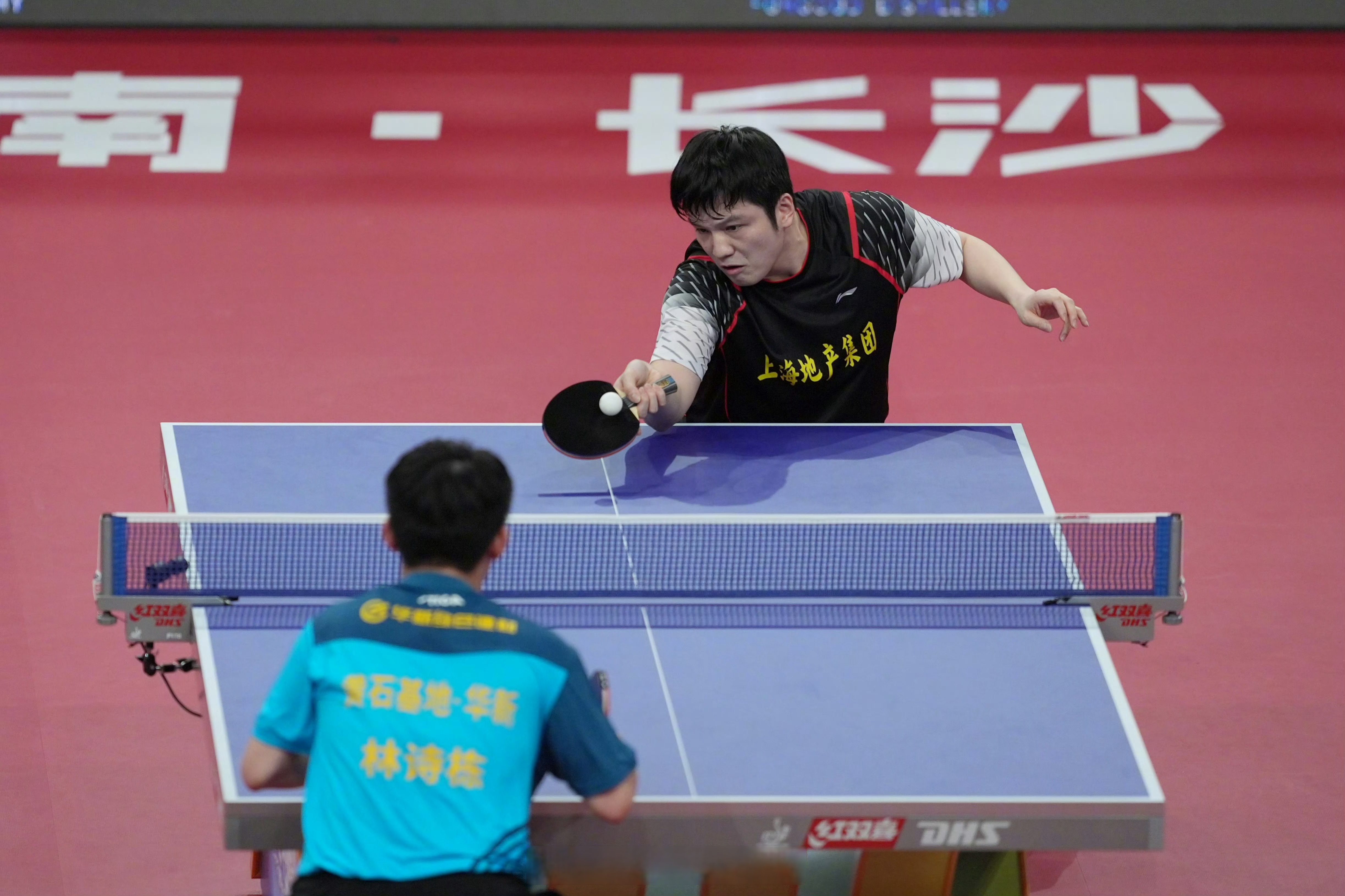 英格兰队横扫韩国队，樊振东高光表现