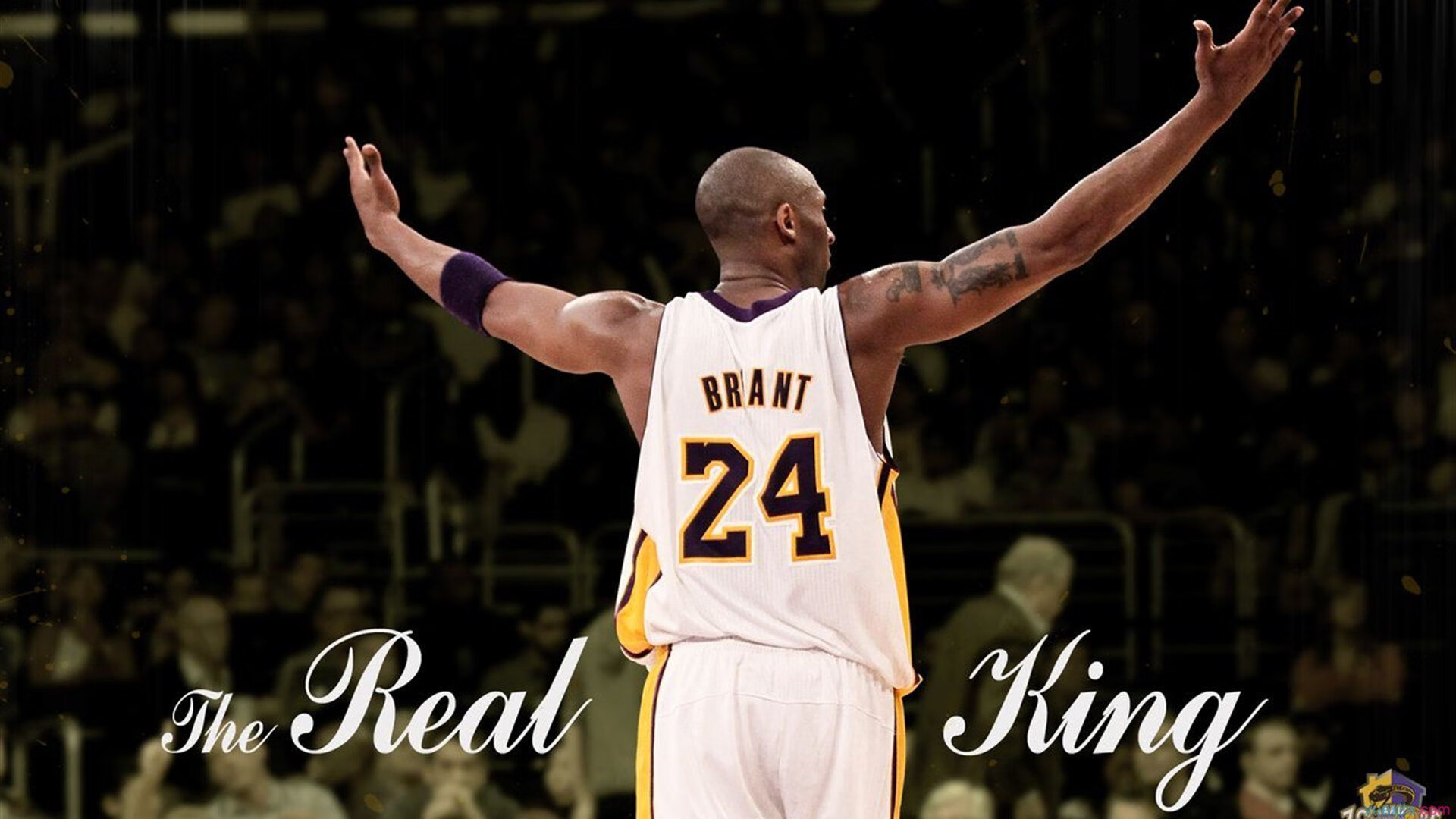 克莱·汤普森,当黄蜂的防线成为他一个人的靶场